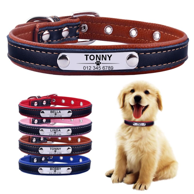 Adjustable personalized dog collar