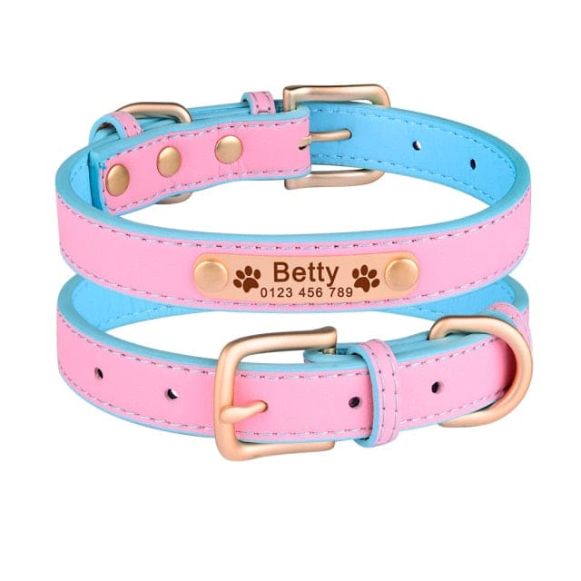 Adjustable personalized dog collar - Blue-Pink / M 11in-14in