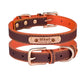 Adjustable personalized dog collar - Orange-Brown / M 