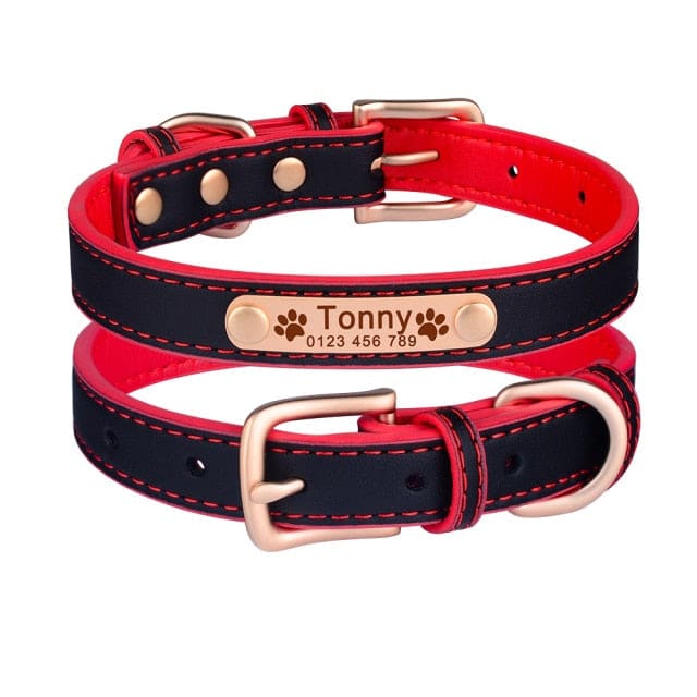 Adjustable personalized dog collar - Red-Black / M 11in-14in