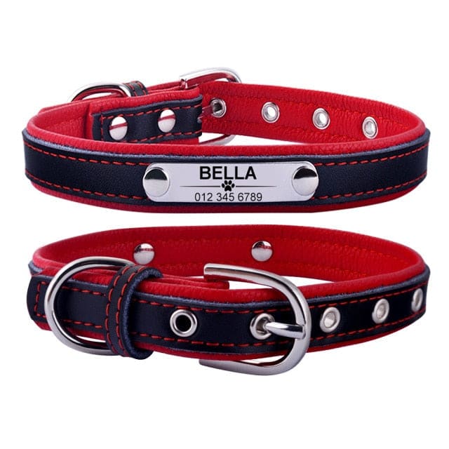 Adjustable personalized dog collar - Red / M 11in-14in