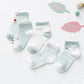 Baby Sock Sets - 8 / XS(0-9M)